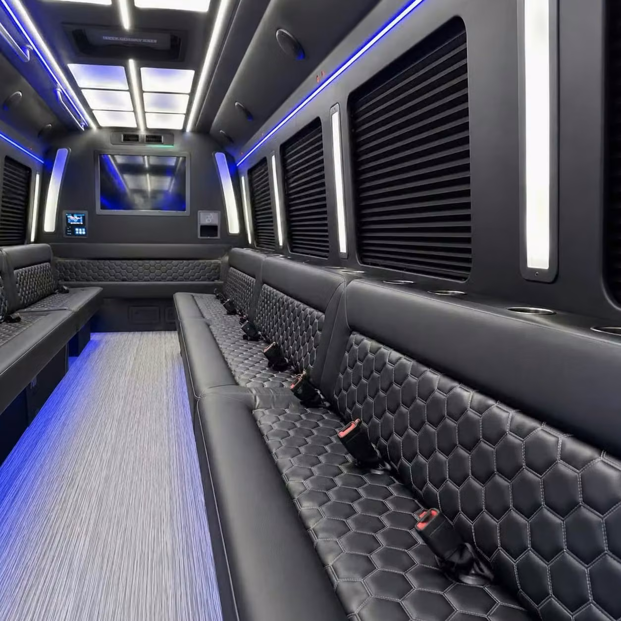 wildomar party bus party lighting