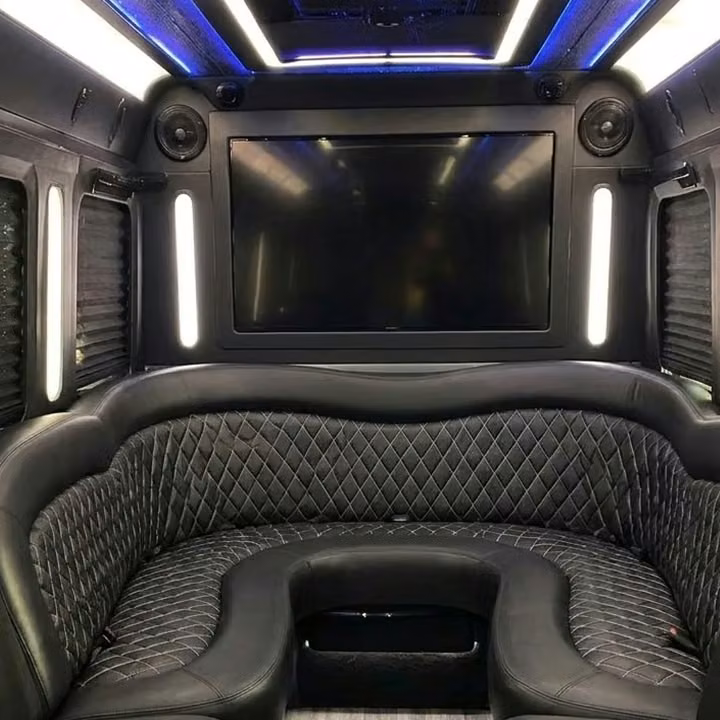 wildomar party bus sound system